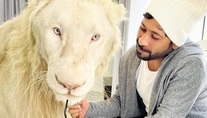 Entenda como bilionário consegue dividir sua mansão com leões e tigres (Reprodução/Instagram/@HUMAIDALBUQAISH)